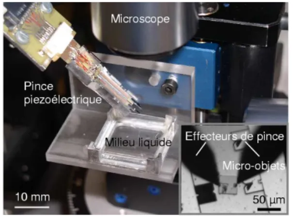 Fig. 9. Vue g´en´erale d’un syst`eme de micromanipulation bas´e sur l’adh´esion et sch´ema cin´ematique (ISIR)