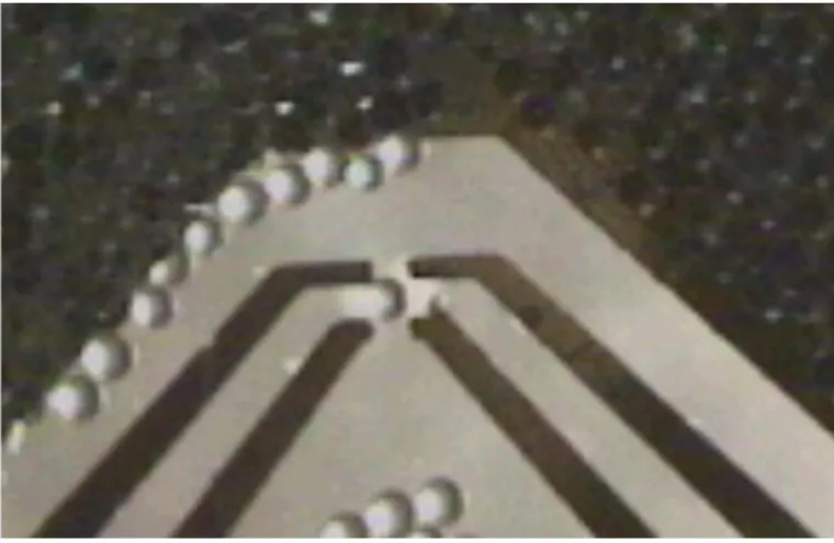 Figure 4 : Bille de polystyrène de 80 micromètres en lévitation au dessus des quatre électrodes