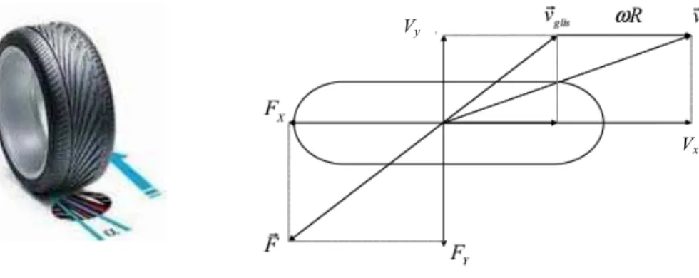 Figure 3.5. Forme de la courbe de la force latérale 