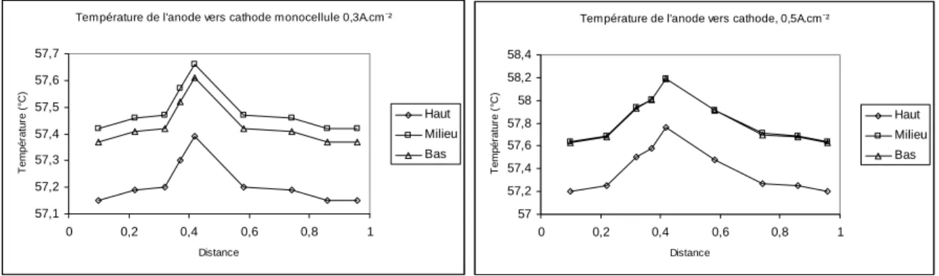 Figure 3.14 : Profil de température extrapolé à une cellule de l’anode vers la cathode