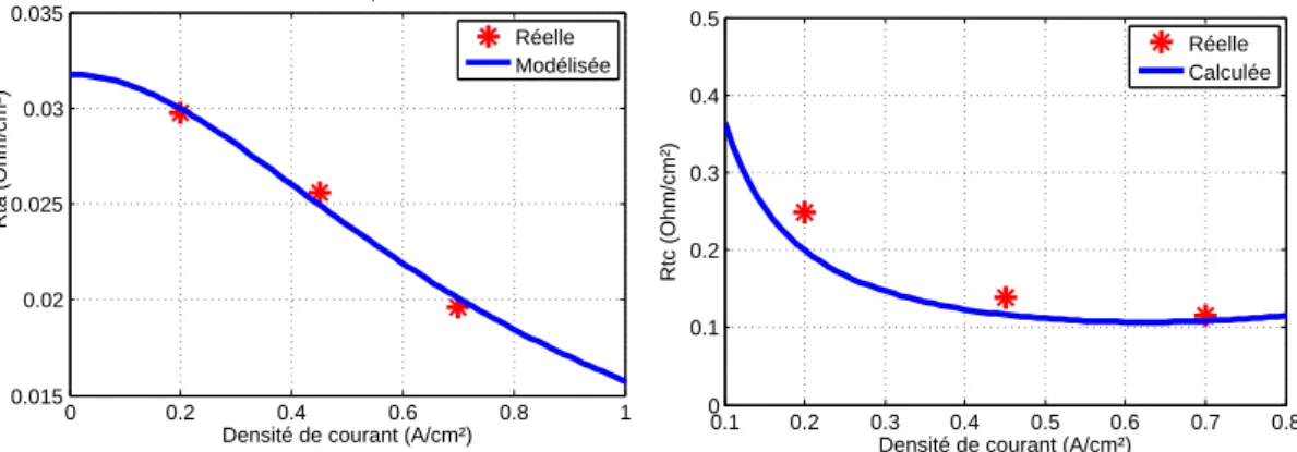 Figure 2.11: Comparaison entre les fonctions définies pour R ta et R tc et les valeurs obte- obte-nues au temps zéro