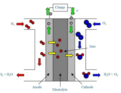 Figure 2 : Fonctionnement d’une PEMFC. 