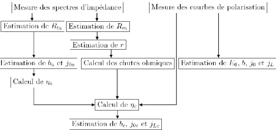 Figure 4 : Processus d’initialisation des paramètres statiques  R ta  est la résistance de transfert à l’anode s’exprimant en fonction de j 0a  et b a 