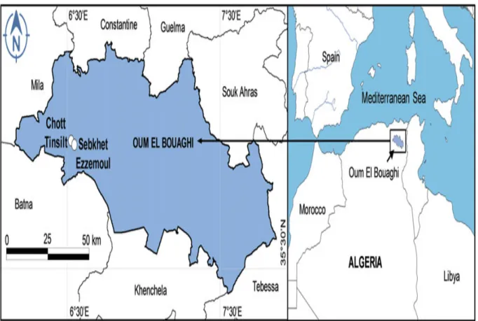Figure 3. Localisation géographique des deux lacs salés, Chott Tinsilt et Sebkha Ezzemoul,  dans la wilaya d’Oum El Bouaghi, Est Algérien (Bezzalla et al., 2019a)