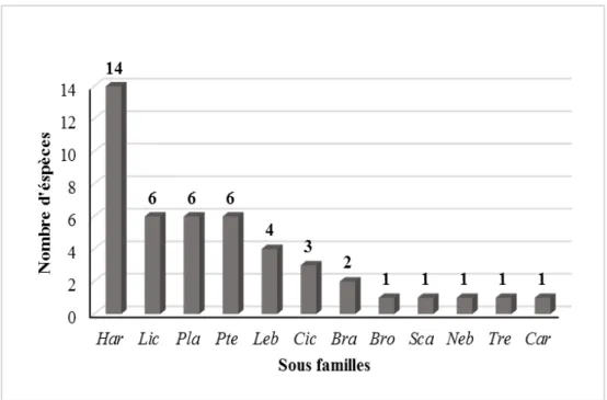 Figure 9. Répartition globale de la richesse secifique par sous famille dans la zone d’étude