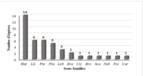 Figure 11. Répartition globale de la richesse secifique par sous famille dans le Chott Tinsilt