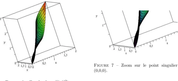 Figure 6 – Graphe de σ 2 ([0, 1] 2 ).