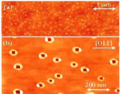 FIG. 2 — Images par microscope à force atomique (AFM) montrant les nanostructures de GaAs sur la surface de A1GaAs [31.