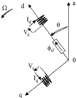 Figure II.2 : Schéma équivalent d’une (MSAP) dans le repère ( , ) 