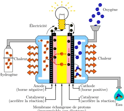 Figure 1. Schéma du principe de fonctionnement d’une cellule de pile à combustible.[20]