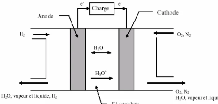 Fig.  2. Exemple de structure simplifiée d’un générateur PAC  L’hydrogène  est  stocké  dans  un  réservoir  haute  pression