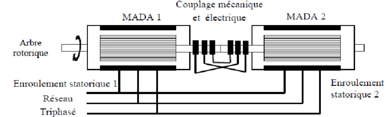 Figure I.11 : Schéma de principe de la machine à double alimentation sans balai. 