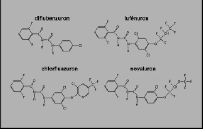 Figure 2: Formules chimiques de plusieurs insecticides appartenant à la famille des  benzoylurées (Sparks, 2013)