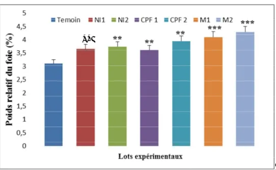 Figure 07 : Variations de poids relatif de foie chez le lot témoin et les lots traités  après 90 jours de traitement 