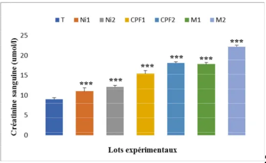 Figure 09 : Variations de la concentration sérique en créatinine chez le lot témoin et     les lots traités après 90 jours de traitement 