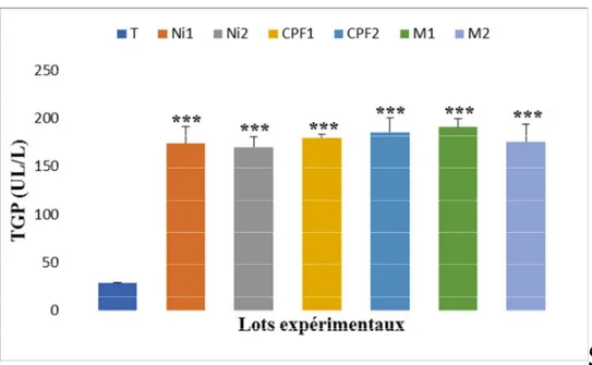 Figure 11 : Variation de l’activité enzymatique de TGP chez le lot témoin et les lots  traités après 90 jours de traitement 