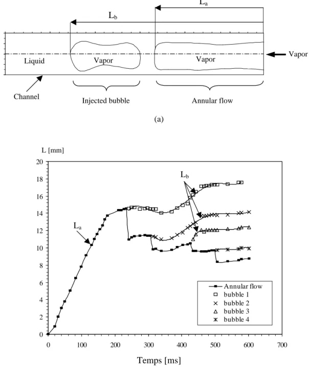 Figure I.15: Parcours temporel du ménisque et des bulles dans le micro-canal pour un cycle 