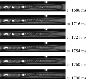 Figure III.3. Exemple de zone de formation de vagues interfaciales au cours du temps. 