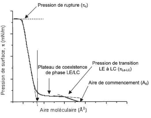 Fig. 1.7: Schéma d’un isotherme n-A avec les différents paramètres pouvant être tirés de celui-ci et nécessaires à l’analyse thermodynamique.