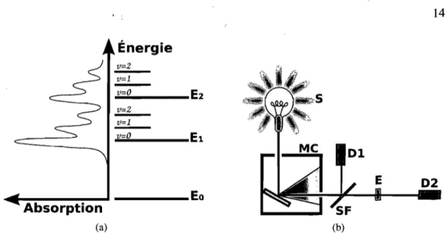 Figure  3.1  - A)  Spectre  d'absorption  en  fonction  de  l'énergie  de  la  lumière  incidente  et  schéma des  niveaux  énergétiques  associés  aux  transitions  visibles  sur le  spectre