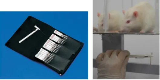 Figure 10 : Appareillage du test de Von Frey. (Source internet F et laboratoire du Dr P.Vachon,  