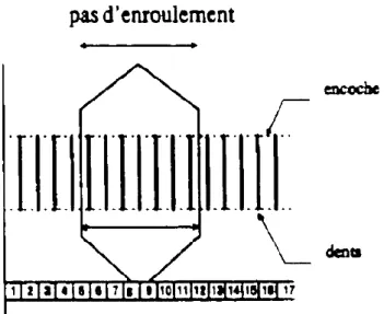 Fig I-7 Schéma montre les deux brins de la spire correspond au pas d’enroulement  I.5.2 Enroulement de type imbrique : 