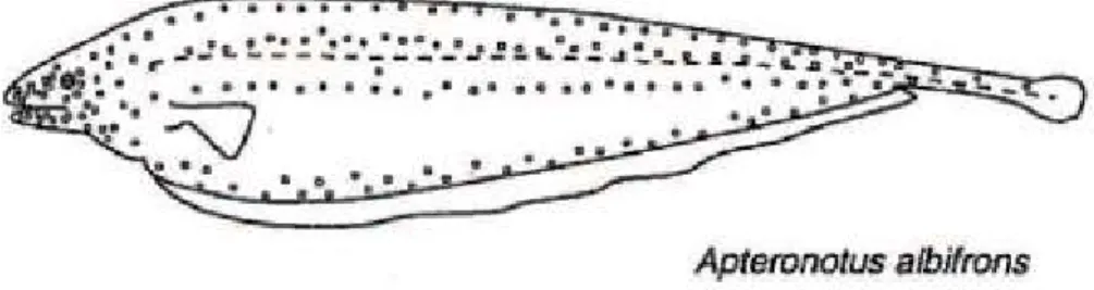 Figure 10 : Emplacements des récepteurs 