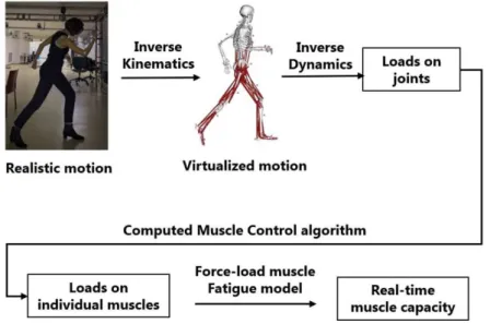 Figure I.3 – Workﬂow of the muscle fatigue prediction process of OpenSim with the muscle fatigue analysis plug-in.