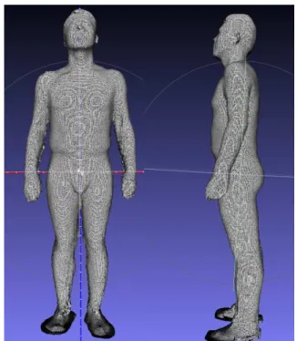 Figure I.7 – The geometrical model generated from 3D scan.