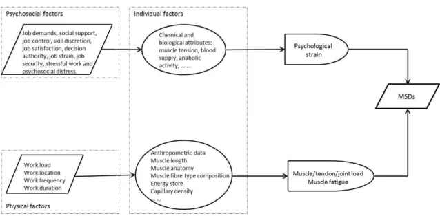 Figure II.1 – An explanatory model of the contributing factors to MSDs