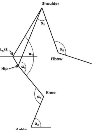 Figure II.4 – Traditional ergonomic method determines the conﬁguration of human posture by its projection on the sagittal plane ([44], p262).