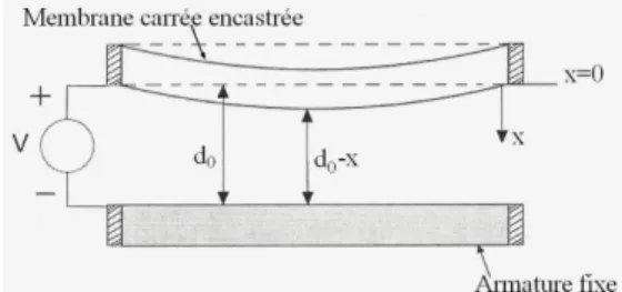 Figure 5 : Schéma de la déflexion de la membrane  La  relation  qui  lie  la  pression  à  la  déflexion  peut  être  obtenue  en  utilisant  l’équation  d’équilibre,  la  loi  de  Hooke  et  les  conditions  aux  limites  de  la  membrane