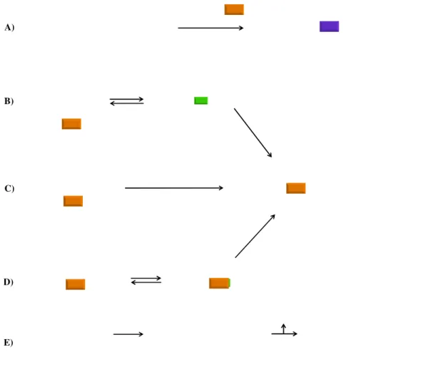 Figure 12. Stratégies de synthèses d'un [2]rotaxane : A) méthode directe ; B) par fermeture de l'axe ; C) par glissement ; A)