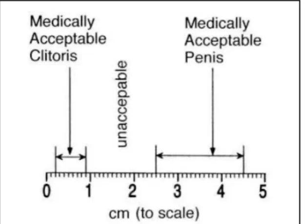 Figure 2 : Échelle d’acceptabilité des longueurs de pénis et clitoris, donnée par Kessler (1998 : 43)