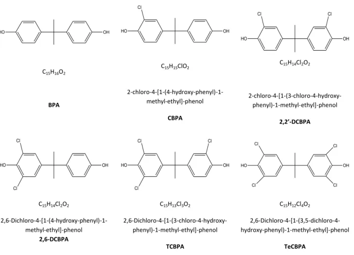 Figure 13. Formules chimiques et structures du BPA et des ses dérivés chlorés. 