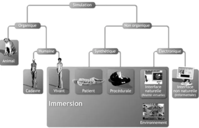 Figure 9 : Classification de la simulation proposée par Chiniara à partir de celle de Ziv et adoptée par  la PennState University (www.hmc.psu.edu) 