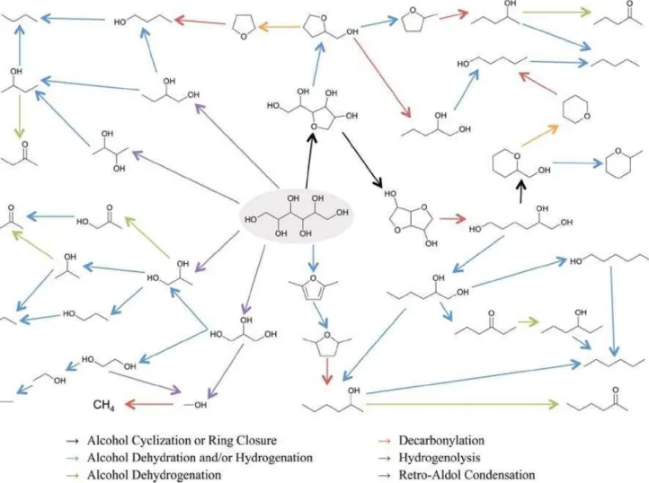 Figure I-14 : Principales voies pour la réaction d’APHDO du sorbitol selon la référence 63