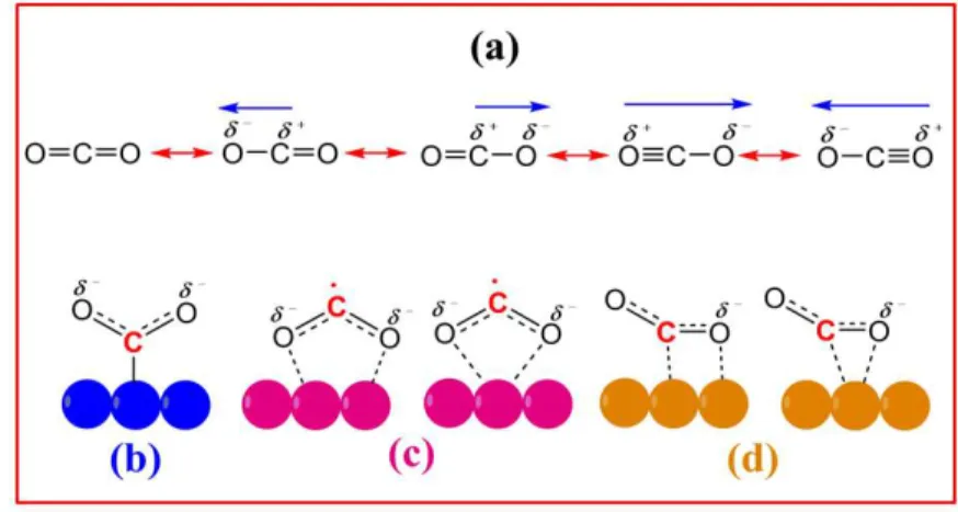 Figure 1.3. a) Polarity of the carbon dioxide. Possible structures for adsorbed CO 2 δ-  on metals  b) carbon coordination, c) oxygen coordination, d) mixed coordination [53, 54]