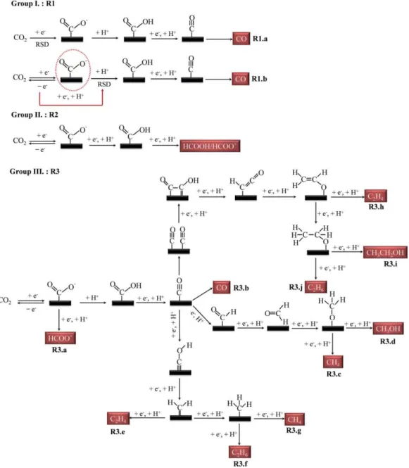 Figure 1.4. Proposed possible reaction pathways for CO 2  electroreduction reaction to possible  products on transition metals [60]