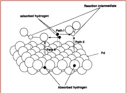 Figure 1.7. Possible  reaction pathways  for electrochemical  hydrogenation on  the  Pd/H alloy  electrode [163]