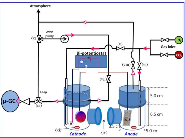 Figure 2.4.  The  schematic  diagram  of  the  H-type  electrolysis  cell  configuration,  including  (i)  the  working electrode, (ii) the reference electrode, (iii) the counter electrode, (iv) Nafion ® -117 membrane,  (v, vi) gas inlet, (vii, viii) gas o