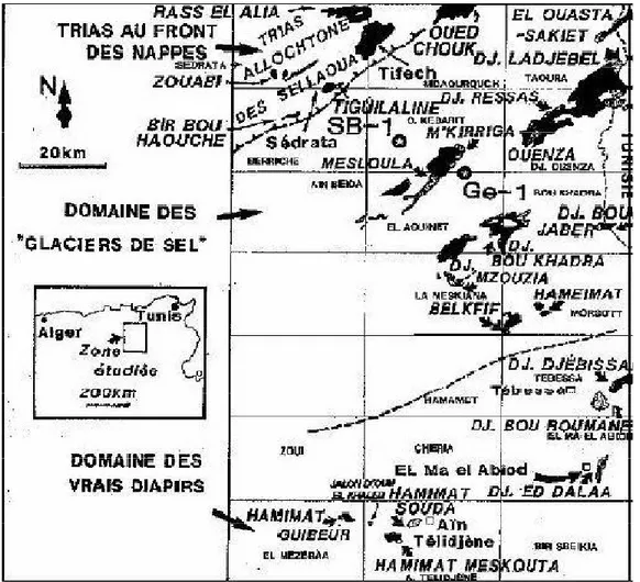 Figure 09: Délimitation des trois domaines triasiques dans les cofins algéro-tunisiens   (Vila et al., 1993-2000) 