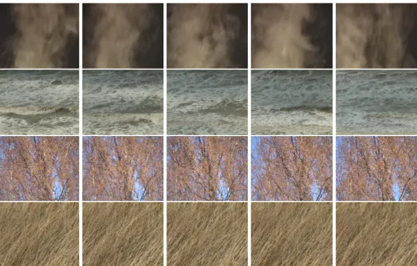 Figure 2.2 – Example of dynamic textures from DynTex Dataset [5]. First row represent the first frames, and next rows are frames after respectively 2 seconds.