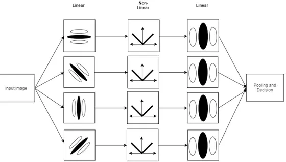 Figure 2.6 – The Back-pocket perceptual texture discrimination model [6] showing the three layers of linear-, non-linear- and linear-filtering.