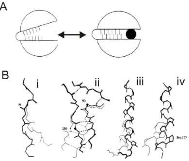 Figure 1-5 Mouvement de charnière 