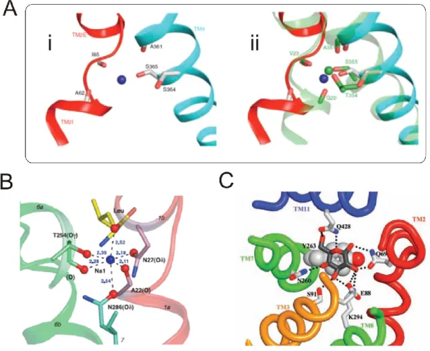 Figure 1-13 Sites de liaison 