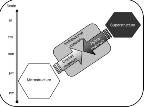 Figure 1. 8 : Schéma illustrant la définition des matériaux architecturés avec une échelle de longueur entre la microstructure  et la superstructure [8]