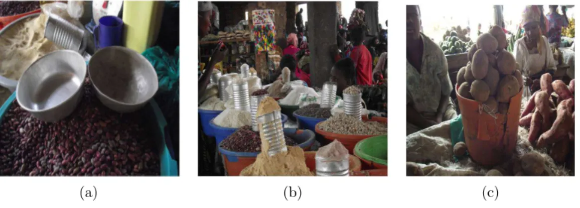 Figure 2 – (a) Nyamaha,(b)Guigoz, (c)Bumba