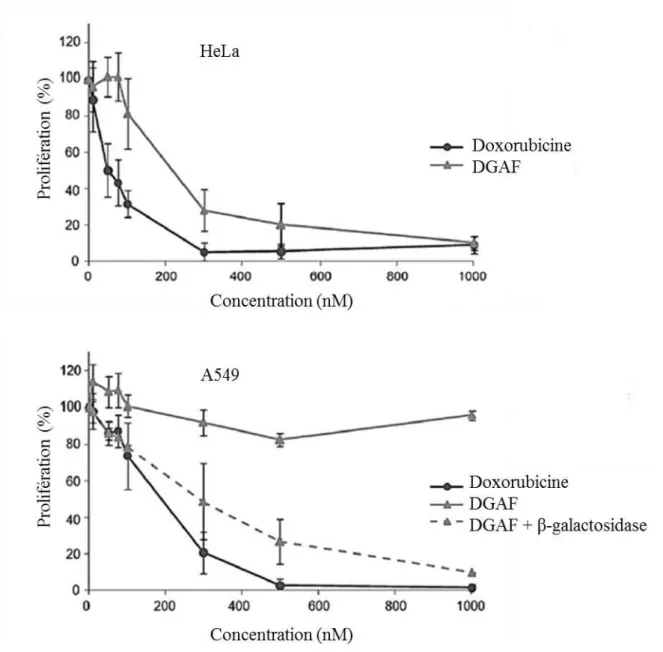 Figure  17.  Mesure  par  test  XTT  de  la  viabilité  des  cellules  HeLa  et  A549  traitées  pendant  4  jours avec de la doxorubicine libre ou le vecteur monomérique DGAF