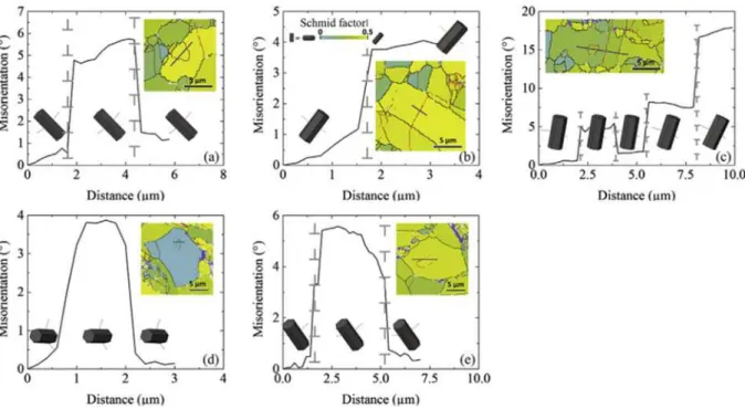 Figure I- 23 :  cette figure est extraite de la référence [116]. Une cartographique des facteurs de Schmid de la  surface de l’échantillon déformé par compression deux fois cyclées (contrainte maximale 500 MPa) a été effectuée